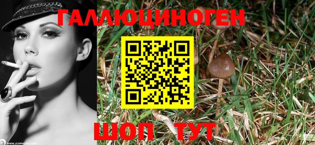Псилоцибиновые грибы Psilocybine cubensis  Вход с VPN  Галлюциногенные грибы Magic Shrooms  Чебаркуль 